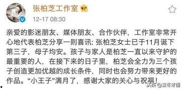 猪皮爆料香港娱乐,香港娱乐圈幕后风云大揭秘